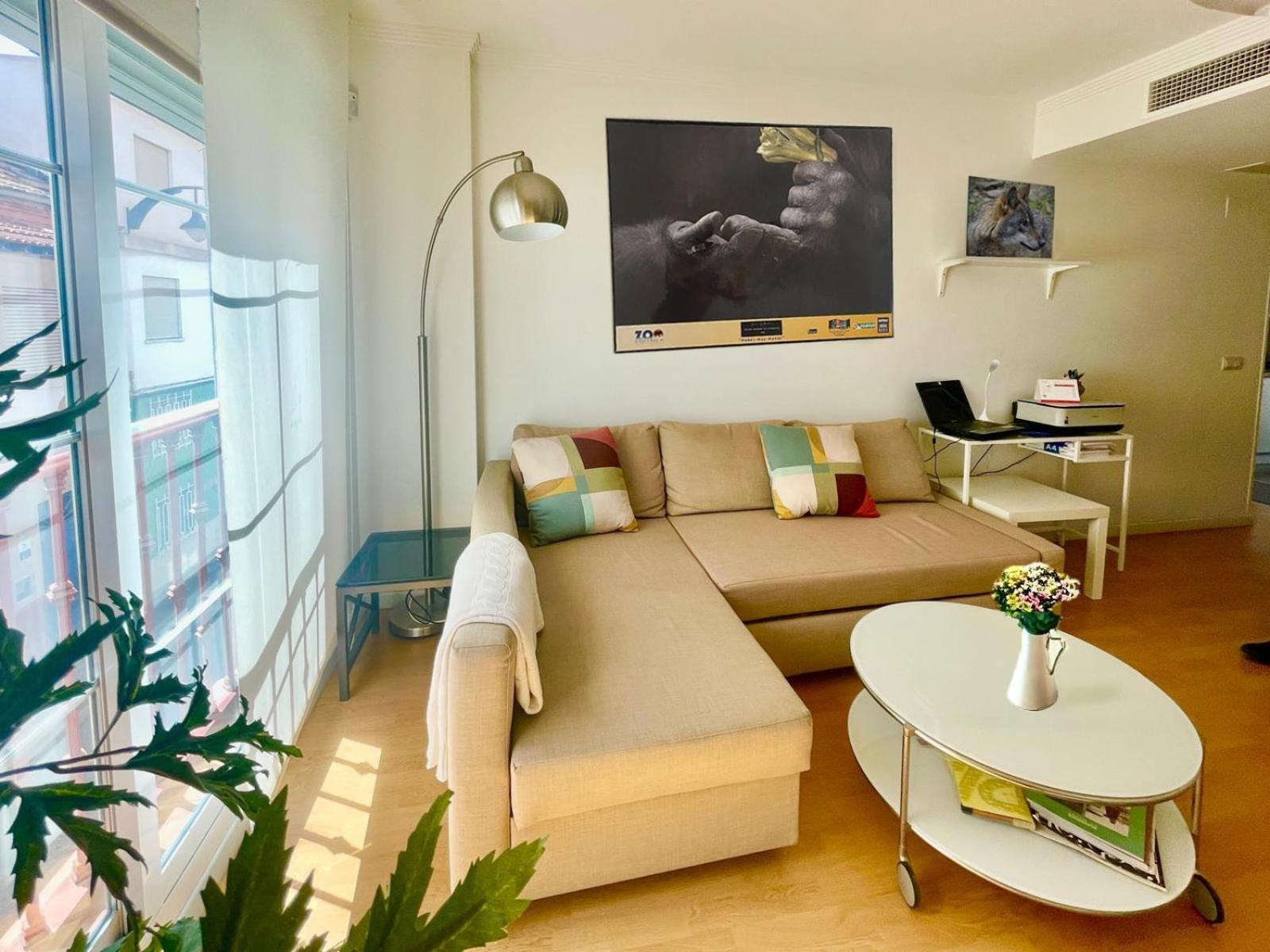Maravilloso Apartamento Centrico De 70M2, Jardin Propio 40M2 Con Piscina Para Ninos Y Parking Opcional Málaga Buitenkant foto