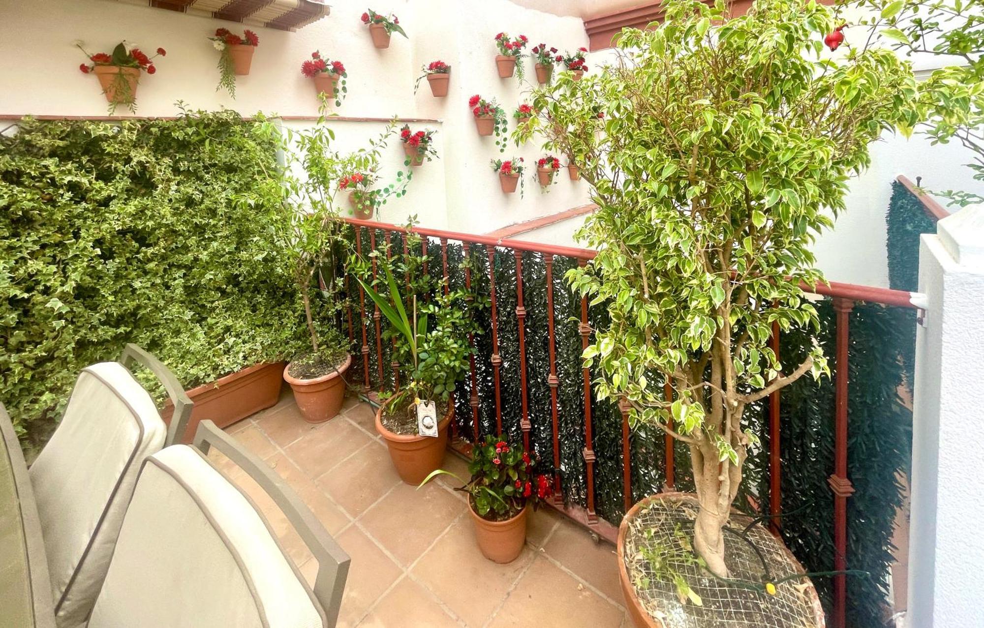 Maravilloso Apartamento Centrico De 70M2, Jardin Propio 40M2 Con Piscina Para Ninos Y Parking Opcional Málaga Buitenkant foto