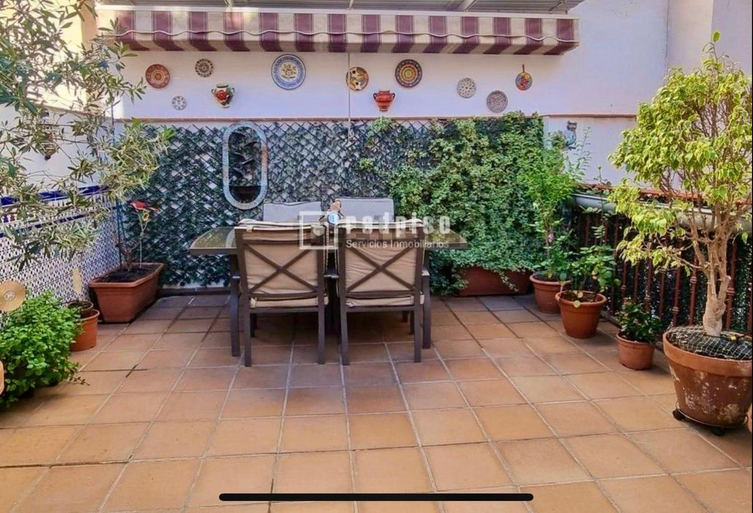 Maravilloso Apartamento Centrico De 70M2, Jardin Propio 40M2 Con Piscina Para Ninos Y Parking Opcional Málaga Buitenkant foto